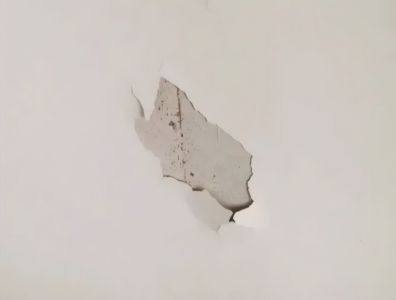 乳胶漆检测分析大全,竹炭乳胶漆与一般乳胶漆