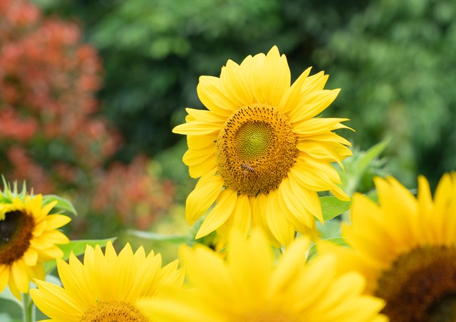 家长请老师去做美容怎样拒绝,母女做美容