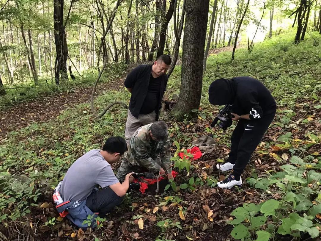 吉林长白山人参东北特产新鲜人参,官方旗舰店正宗长白山人参