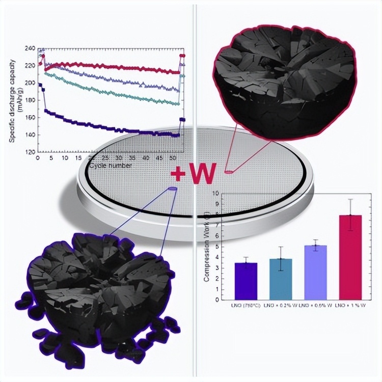 LiNiO2正极材料中Al和W的力学强化机制及其对电池性能的影响