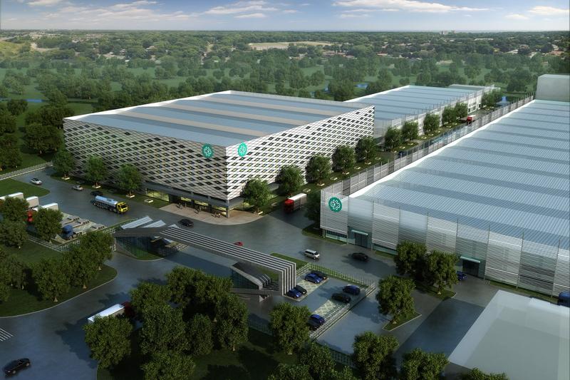 蛇王隆力奇,隆力奇蛇王