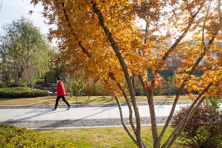 豫南一县城冒出“苏州园林”，盛世造园杰作入选中国园林精品范例