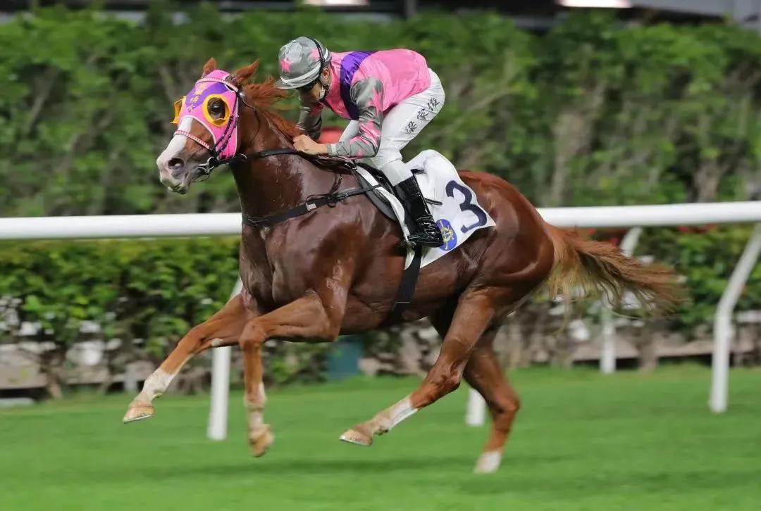 华将发亮～钟易礼谷草首胜蔡明绍力争参与《浪琴国际骑师锦标赛》