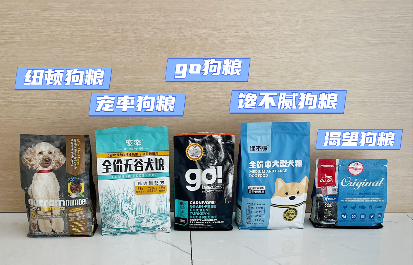 养狗首选这7种狗不贵又好养,养狗狗新手入门必知