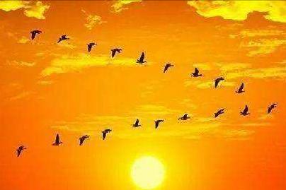 刘禹锡最著名的十首诗及赏析,一代诗豪刘禹锡经典名篇