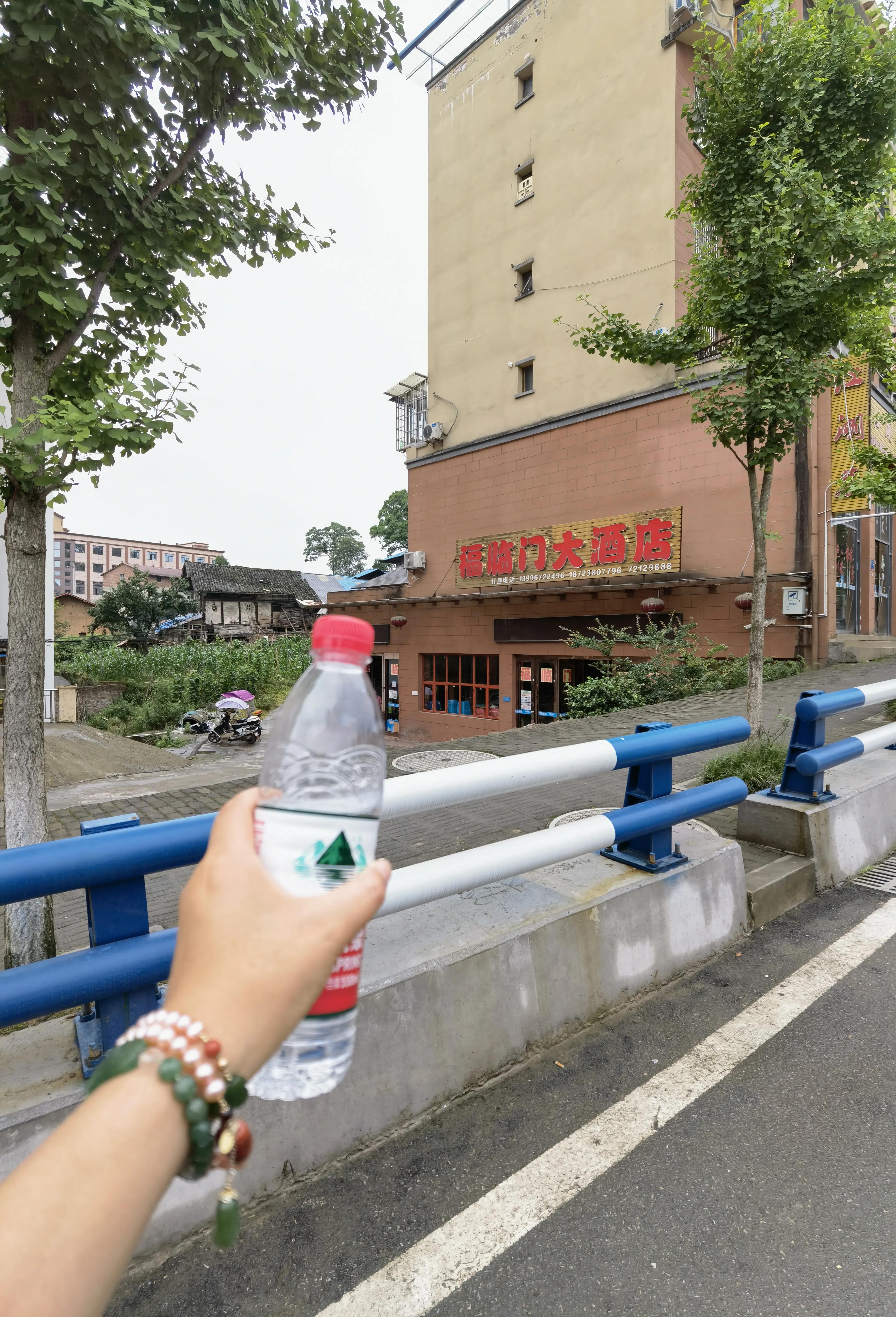 大顺李蔚如,航拍涪陵区大顺镇