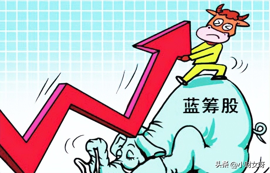 哪些是大盘蓝筹股,大盘蓝筹股是哪些股