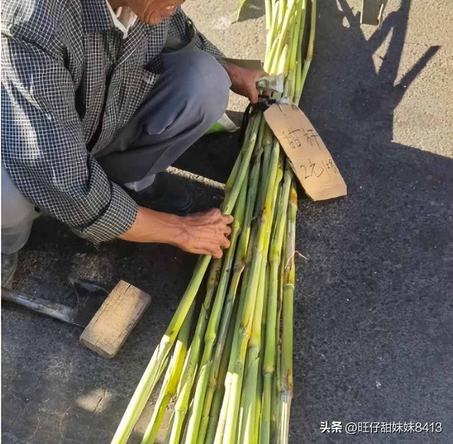 6种正在消失的水果,近年消失的水果