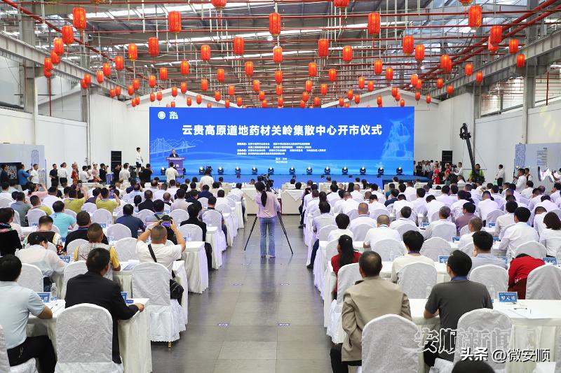云贵高原道地药材关岭集散中心开市暨中医药产业招商引资推介会世界中医药大会第七届夏季峰会关岭分论坛举行