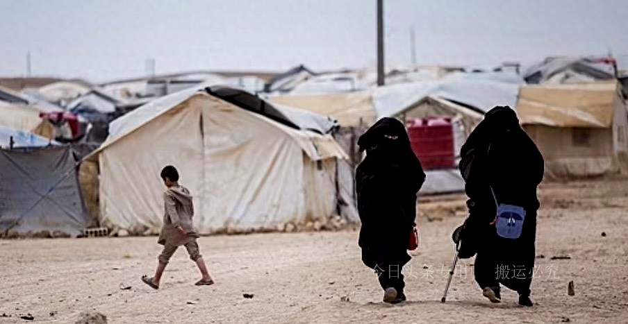 这里的女生强迫男孩当*奴性**就为了让自己怀孕，探究ISIS