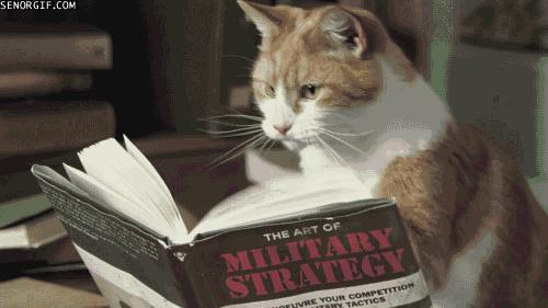 学语文最快最有效的方法,学语文的方法技巧哪个最好