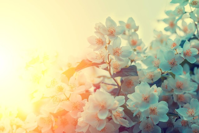 讨厌一个人无需翻脸这样做最合适,厌恶一个人却又不能翻脸