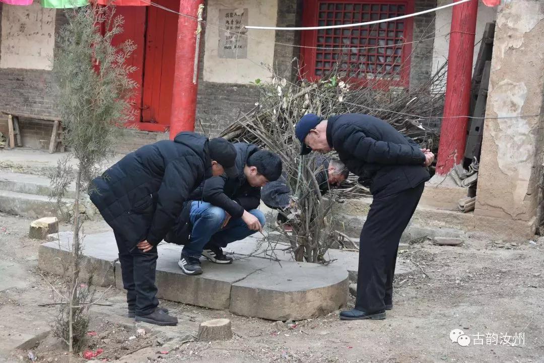 两个忘年猴朋友″