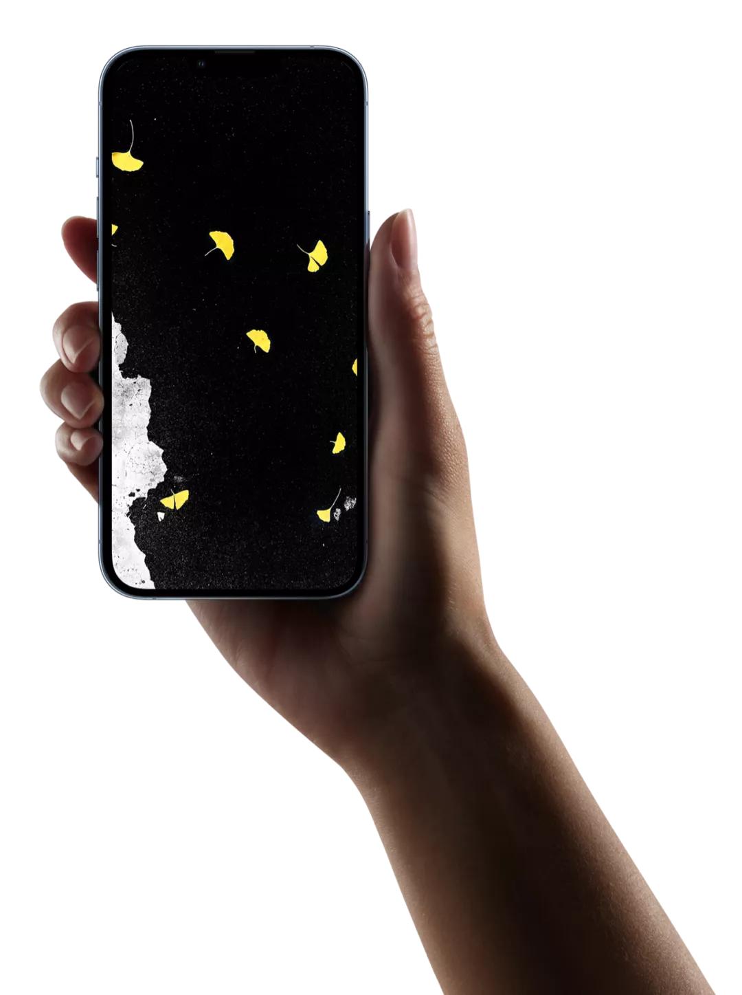 没有缺点的iphone13promax,iphone13promax与iphone13pro