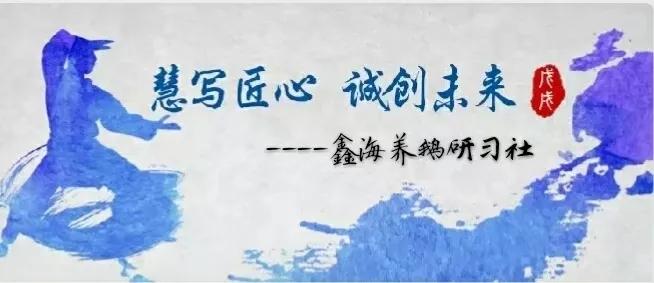 林下种草养鹅的实用技术,林下养鹅技术注意事项