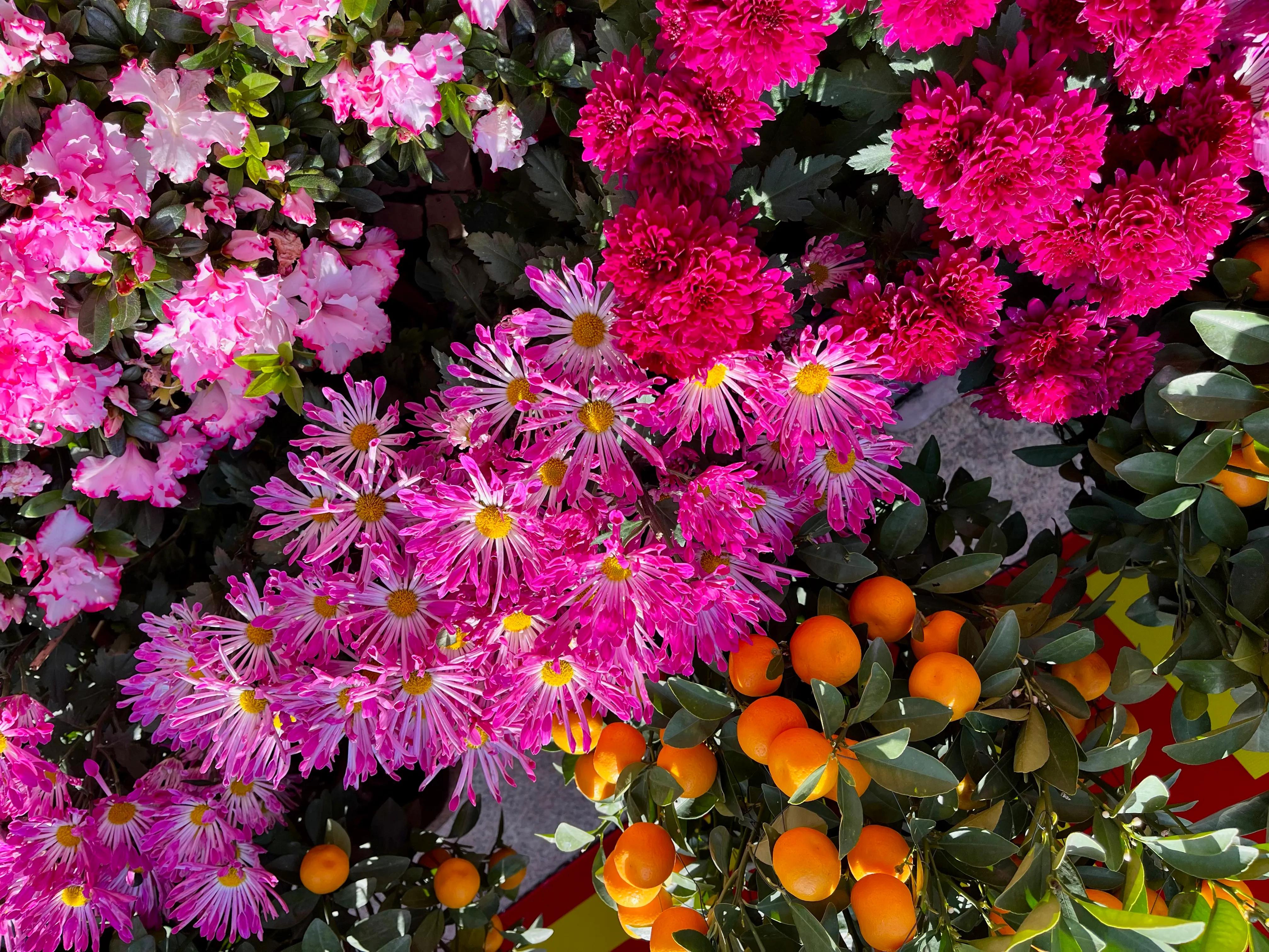 澳门旅游攻略不购物,澳门一日游攻略必备