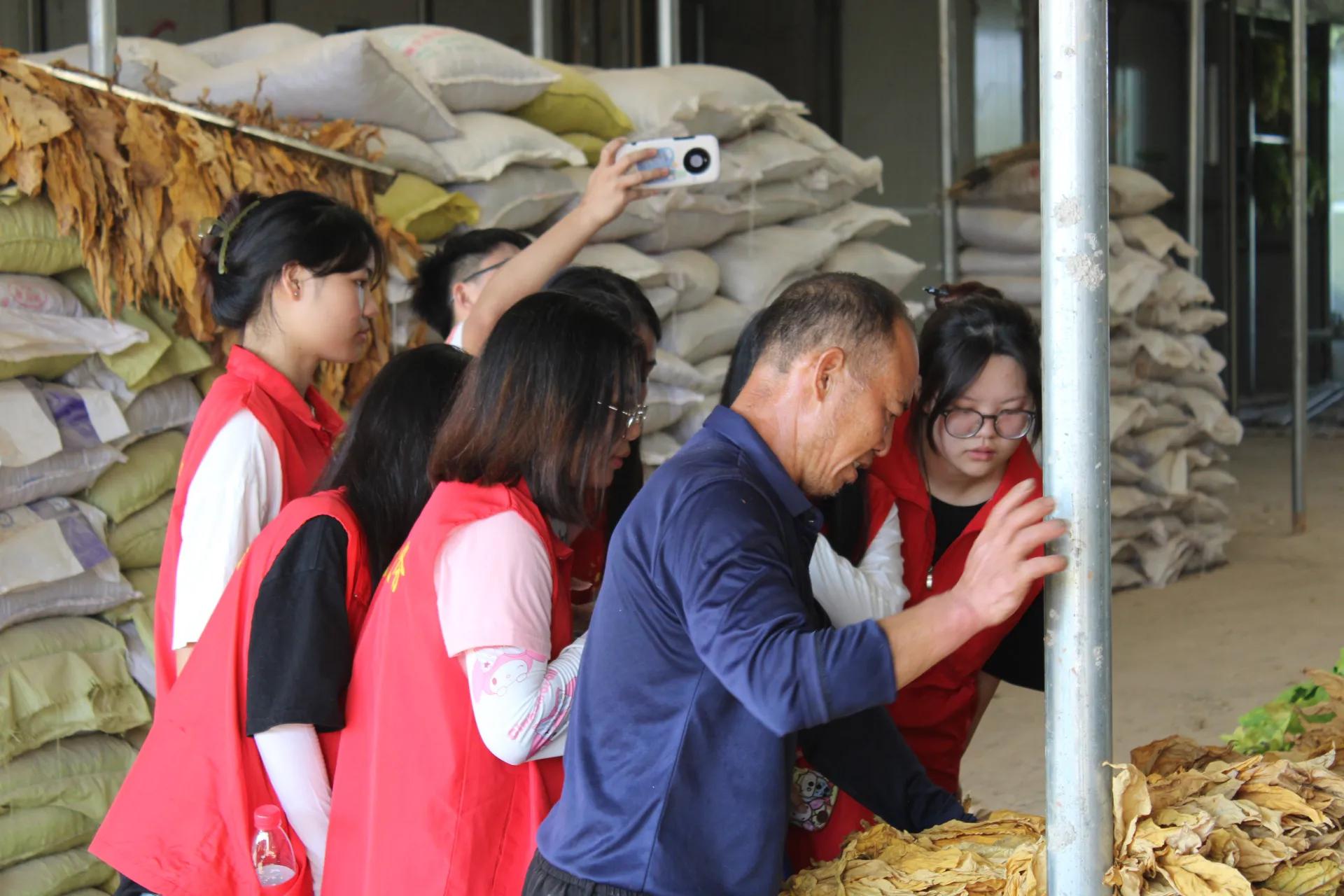 活水注入乡村振兴,乡村振兴的经验分享与最佳实践