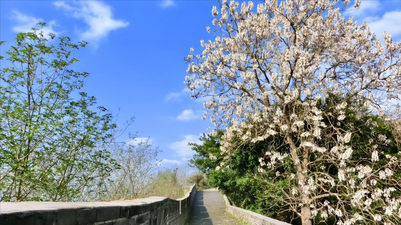 浅谈全国34个省级区域之华东篇：江西省-赣州市