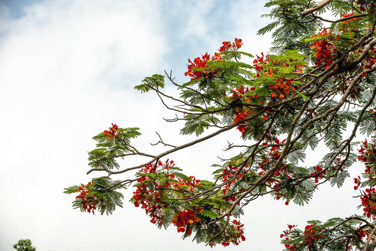 七十多岁牙一个都没掉,八十多岁不掉牙