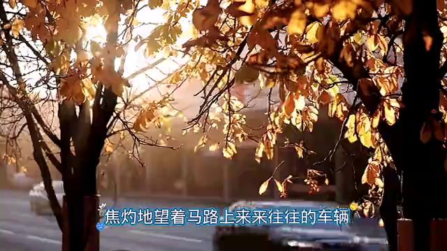 金牛座第八季第五篇,金牛座第23关怎么过