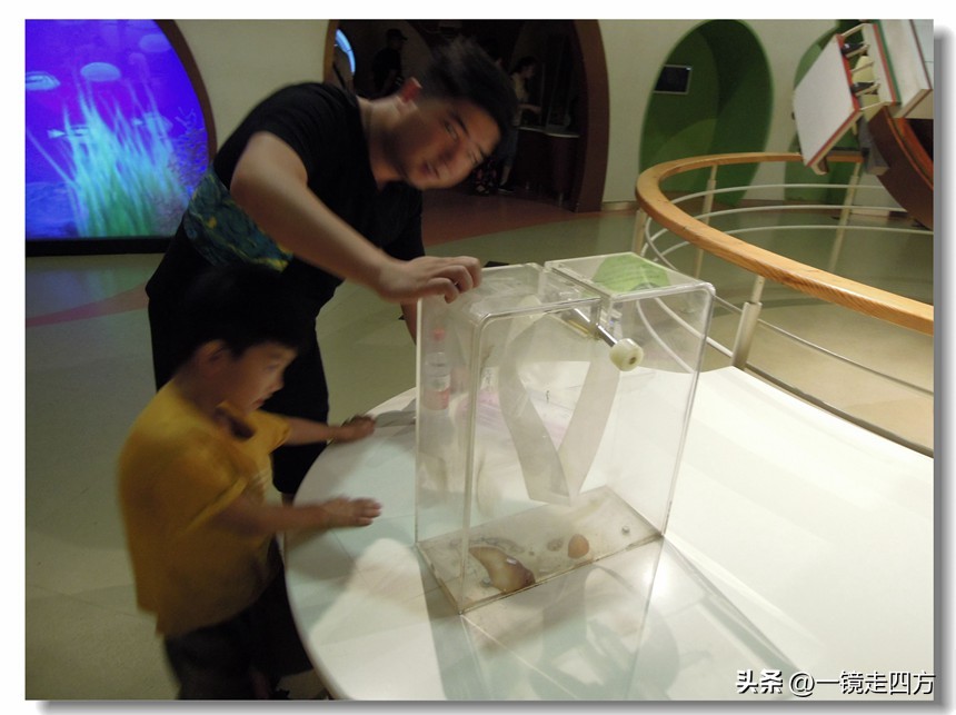 参观北京科技馆游记,参观北京科技馆的感想