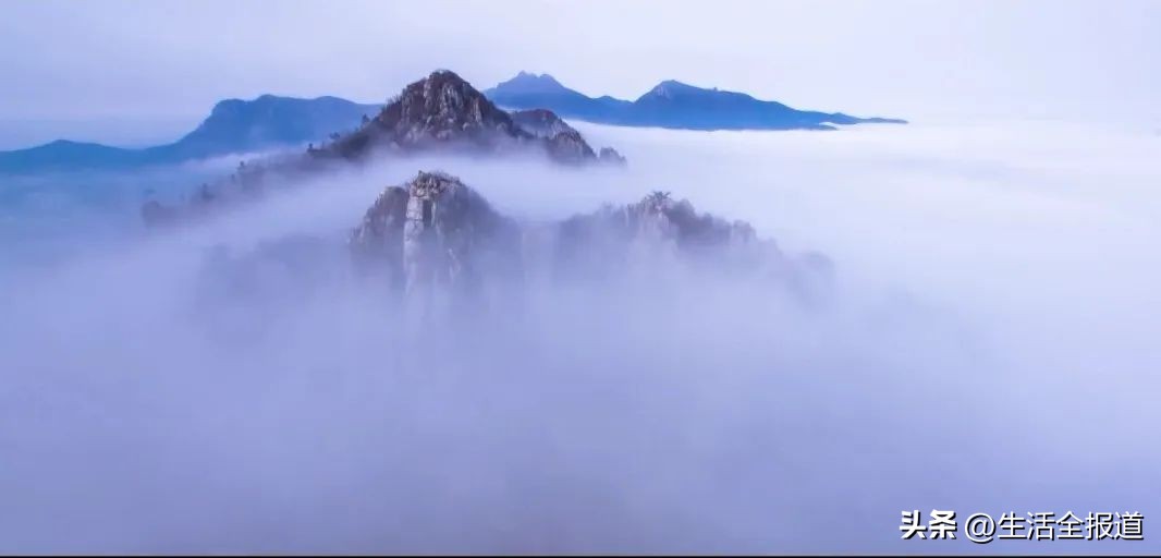 深化对口帮扶||*花采**毛尖：名不虚传的湖北名茶！一盏名茶满口留香