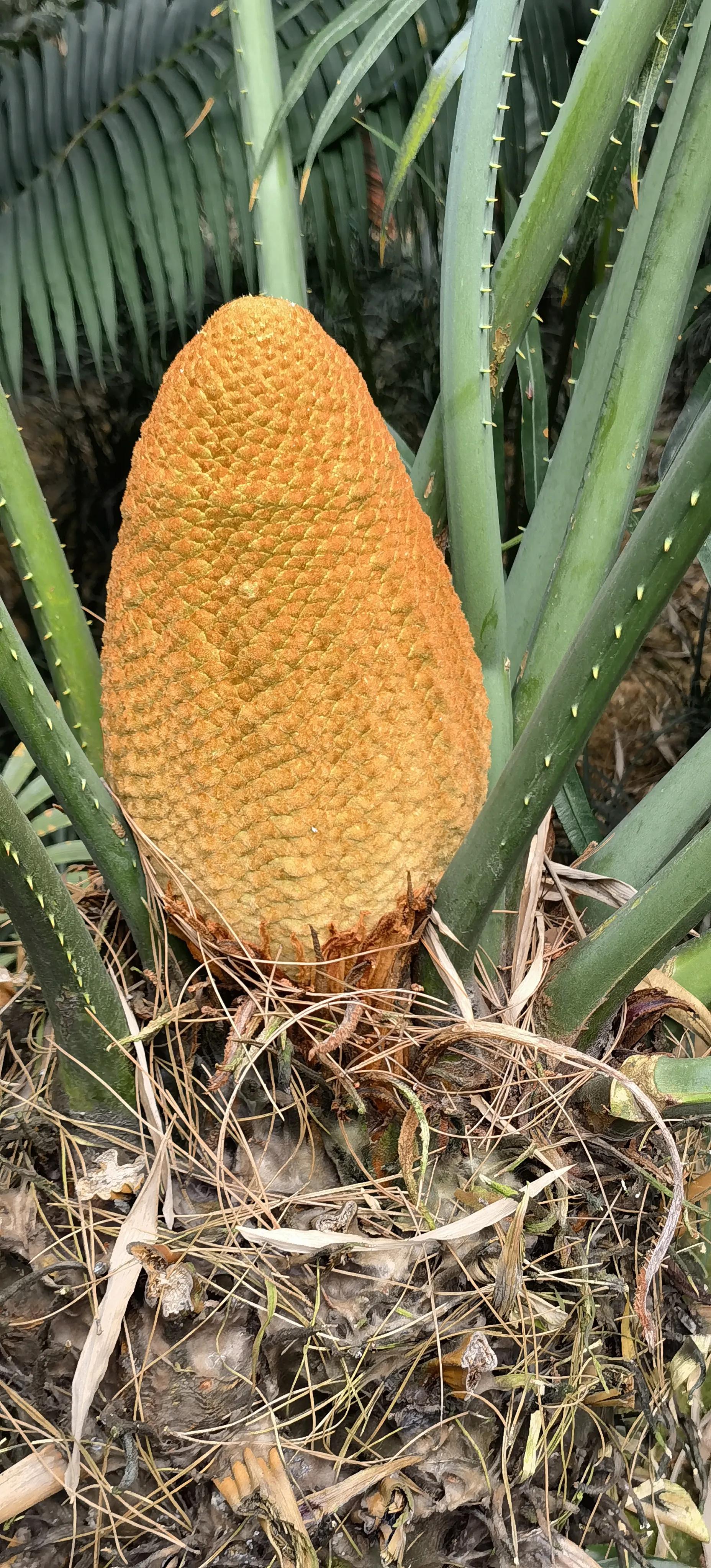 旅行日记记录一家人美好生活,旅行日记85天