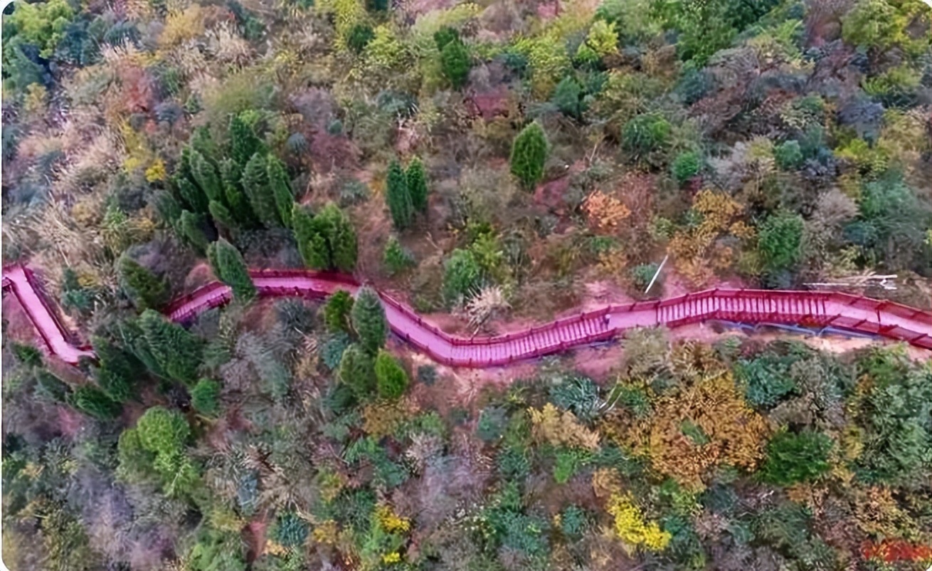 促进体育产业发展政策,如何大力发展地方特色体育产业