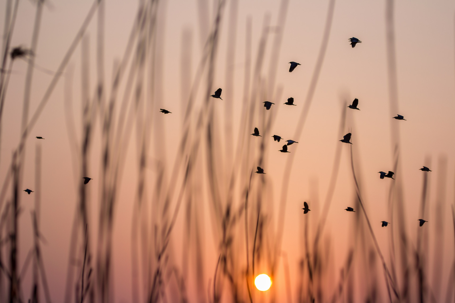 缺钱的时候，高层次的人，是如此应对的