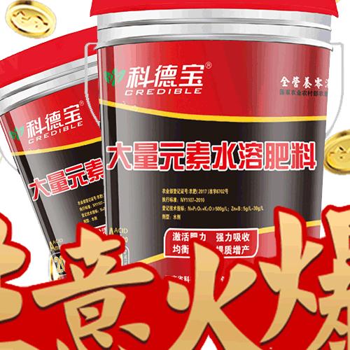 强服务促发展的方法,强服务提品质塑品牌