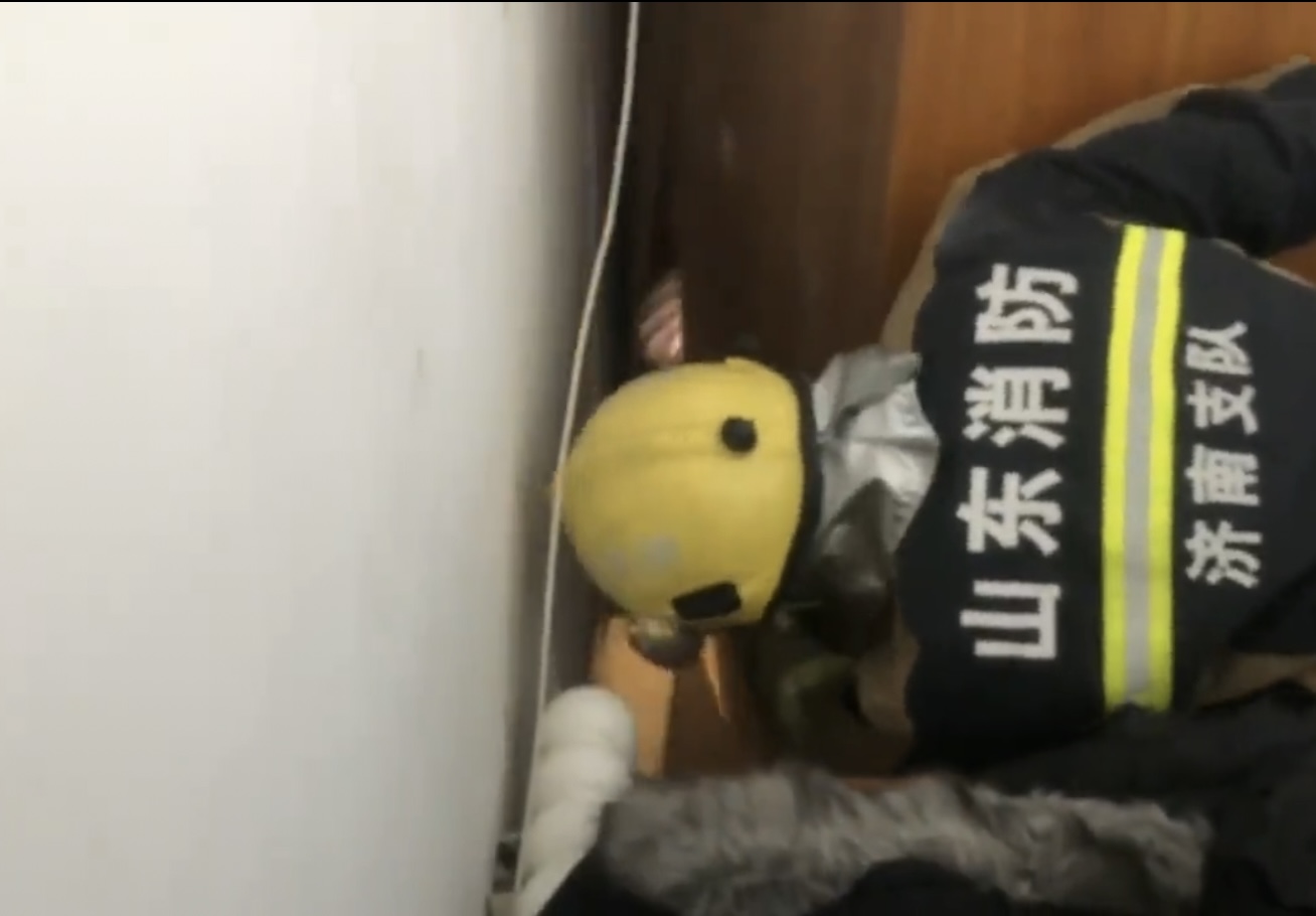 黄鼠狼溜进消防队臭屁暗算消防员,家中溜进黄鼠狼消防员被熏吐