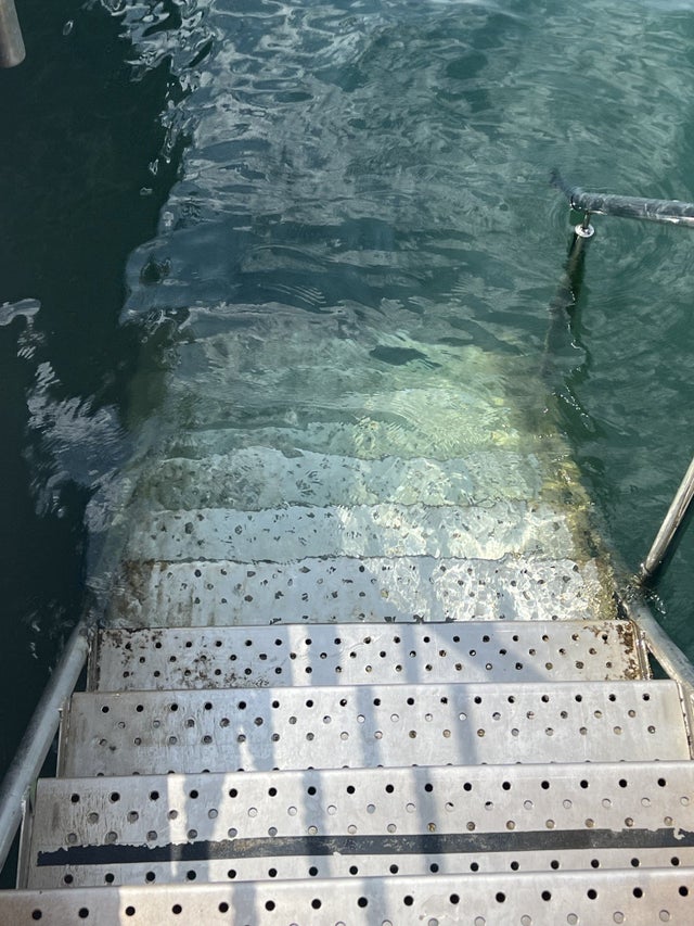 海洋巨蟒真实照片大全,海洋巨蟒真实图片大全