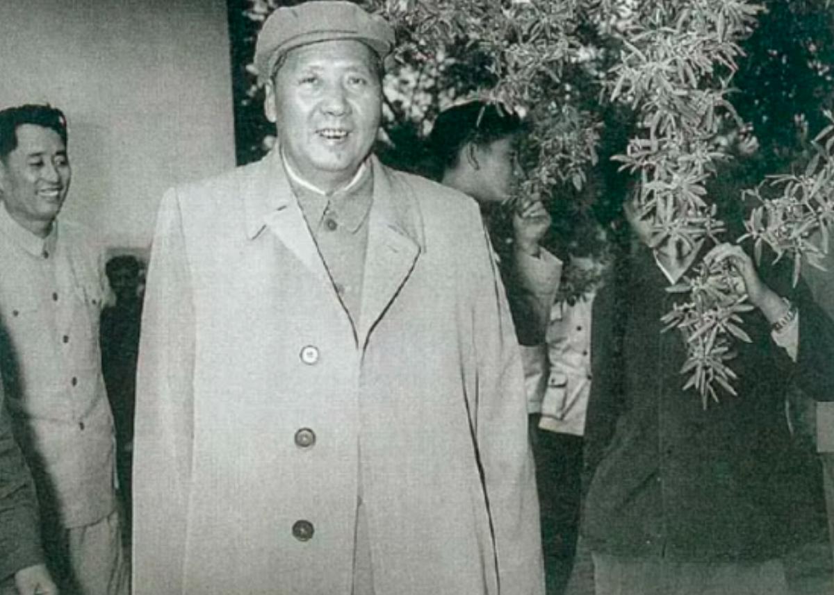 52年伟人游孔庙，交谈中突然问曲阜县委书记：莫非你是孔子后人？