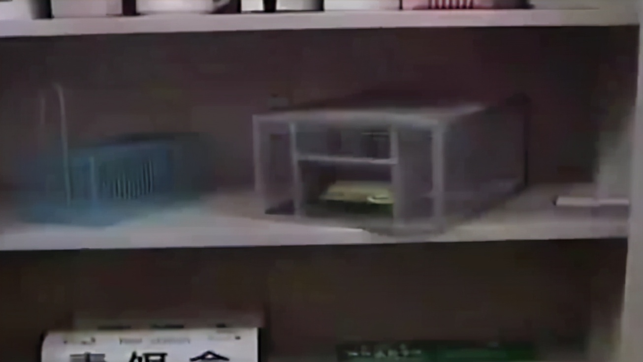 鼠王被抓叫来老鼠报复咬人,老鼠爬到床上为什么还会咬人