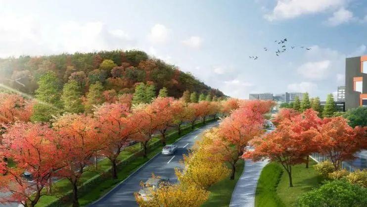 揭秘！为何选择*京大南**学苏州校区？七大报考理由，多数人难以拒绝！