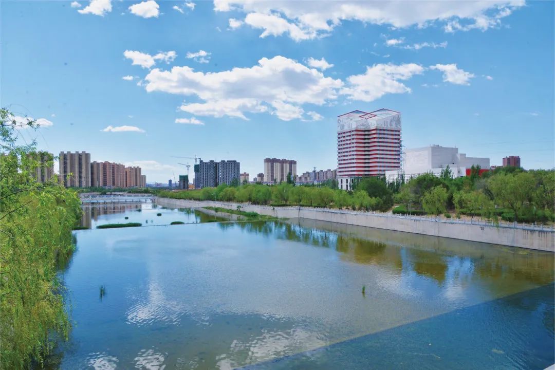 【聚焦*会两**】回民区:践行绿色发展理念共建生态宜居城区