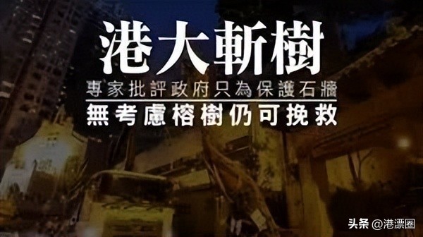 来香港一定要做这5件事,在香港待超过7天罚款