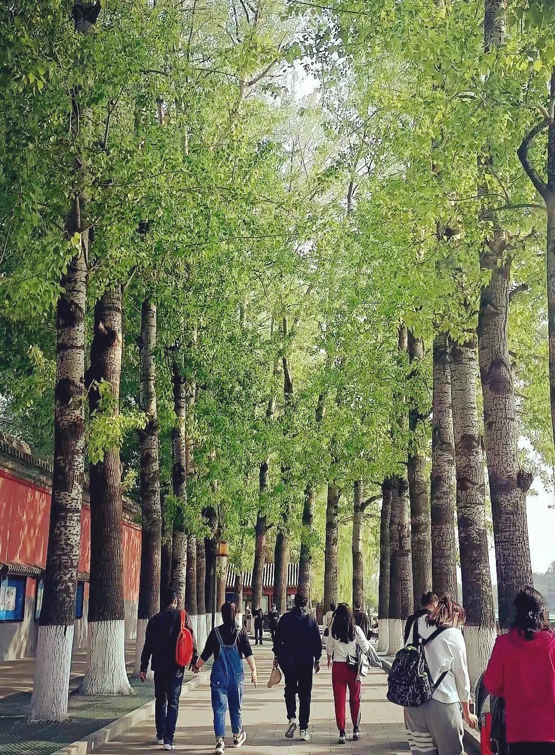 北京人私藏的皇家御苑，“让我们荡起双桨”的地方