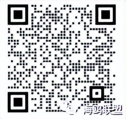 海关如何应对跨境电商挑战,跨境电商如何绕过海关安检