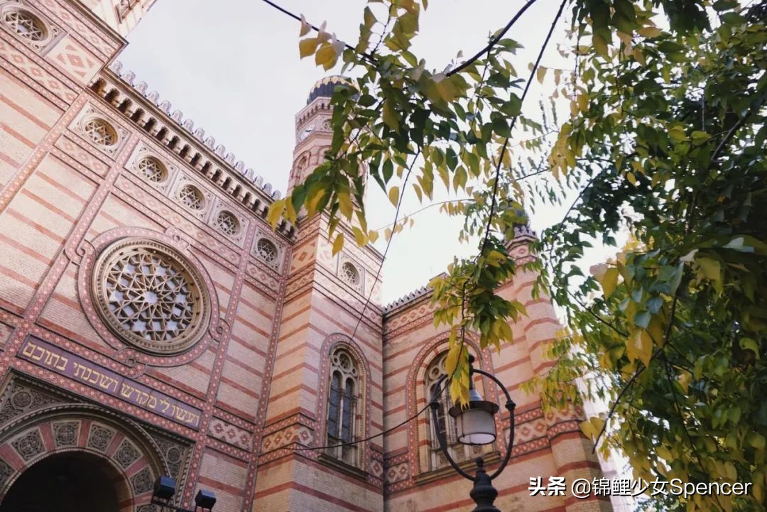 我在布达佩斯，收集了很多秋天送给你