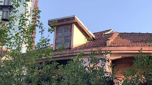 五星红旗确认为国旗的故事,了解五星红旗背后的故事