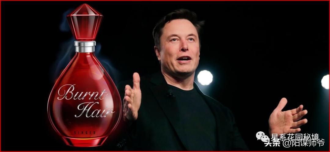 马斯克一开始没钱谁给投资,马斯克没有钱之前做什么