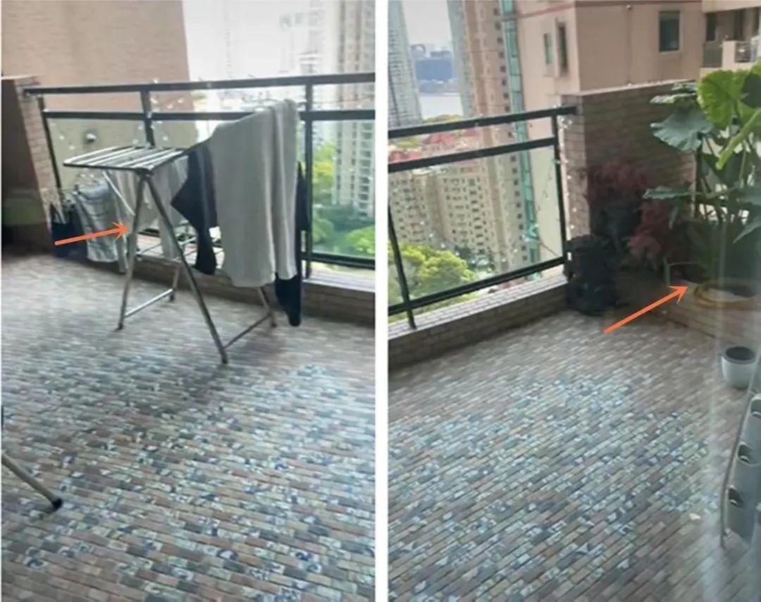 李立群自曝在卖上海豪宅,直言不会再回大陆拍戏,将享受退休生活