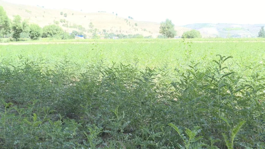 白银生态美景,白银大地山水