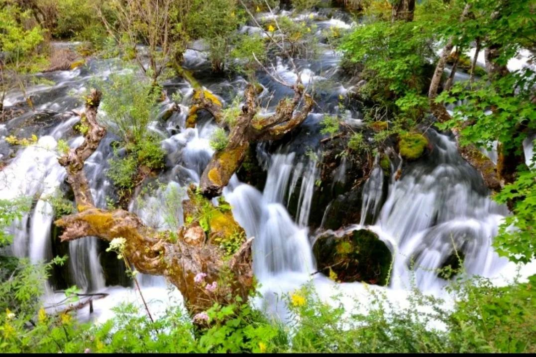 云南大山深处的大山,云南大山里的快乐
