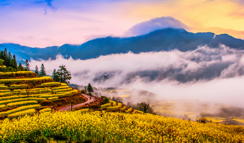 春色满园风景摄影,婺源摄影写真