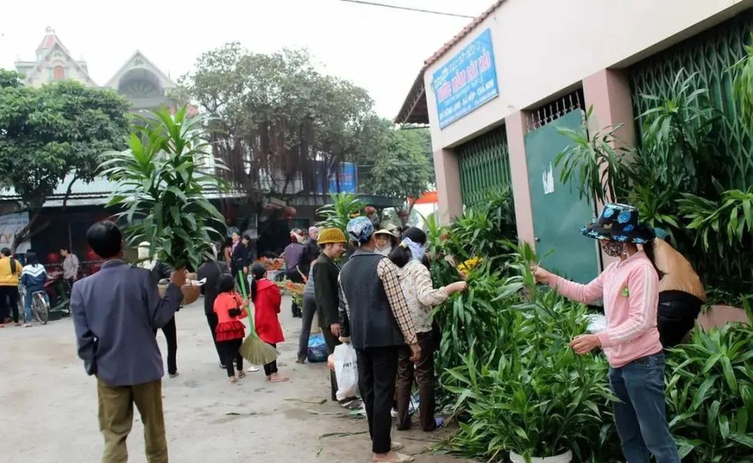 做冷门生意月入上万,年过50找不到工作