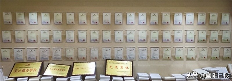 南阳绿莹艾草制品加盟,河南南阳艾草品牌