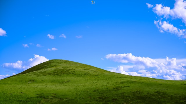 win11出了为什么还有人用xp,win11和xp哪个更好用