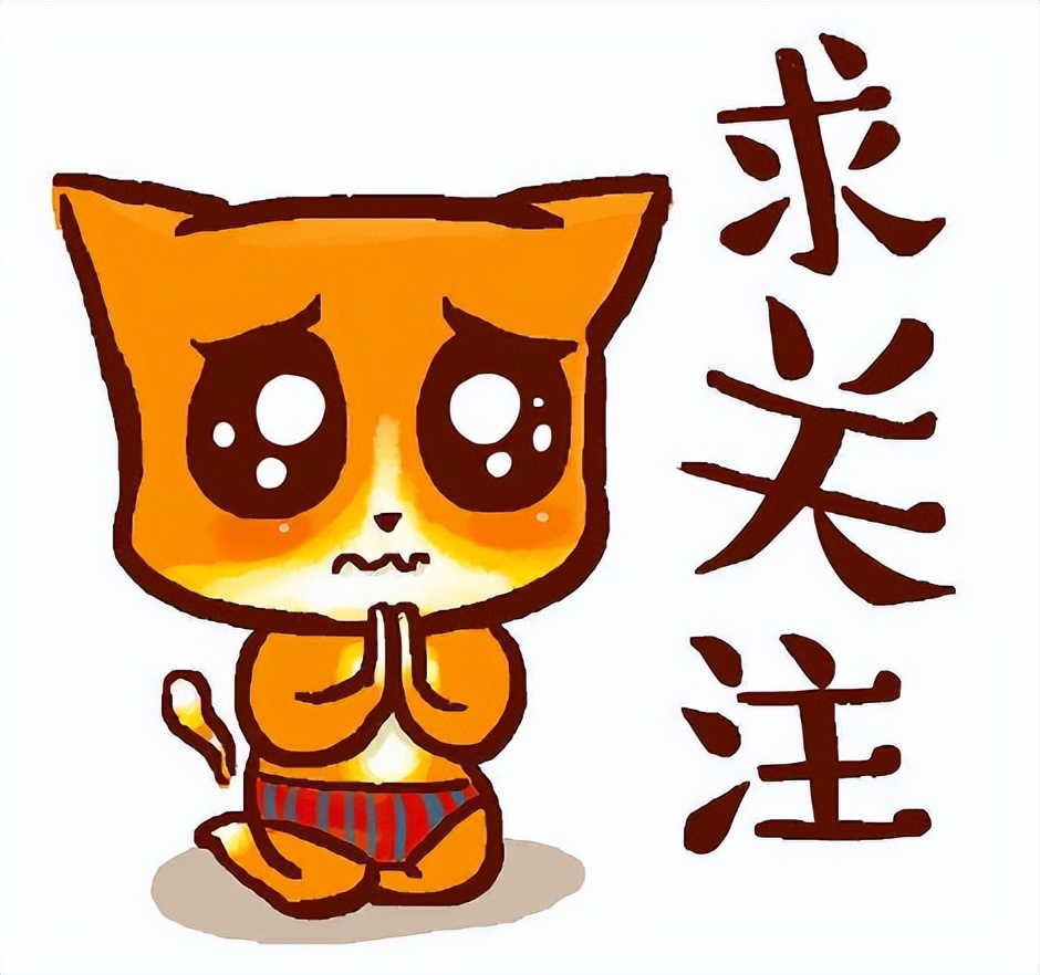 铲屎官身上的猫毛怎么处理,猫咪掉毛铲屎官怎么办